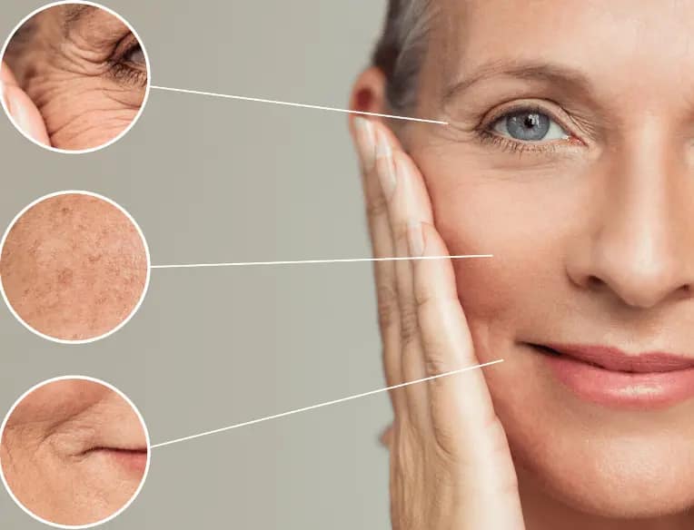 Skincare for Anti-Aging: Address Fine Lines and Loss of Elasticity
